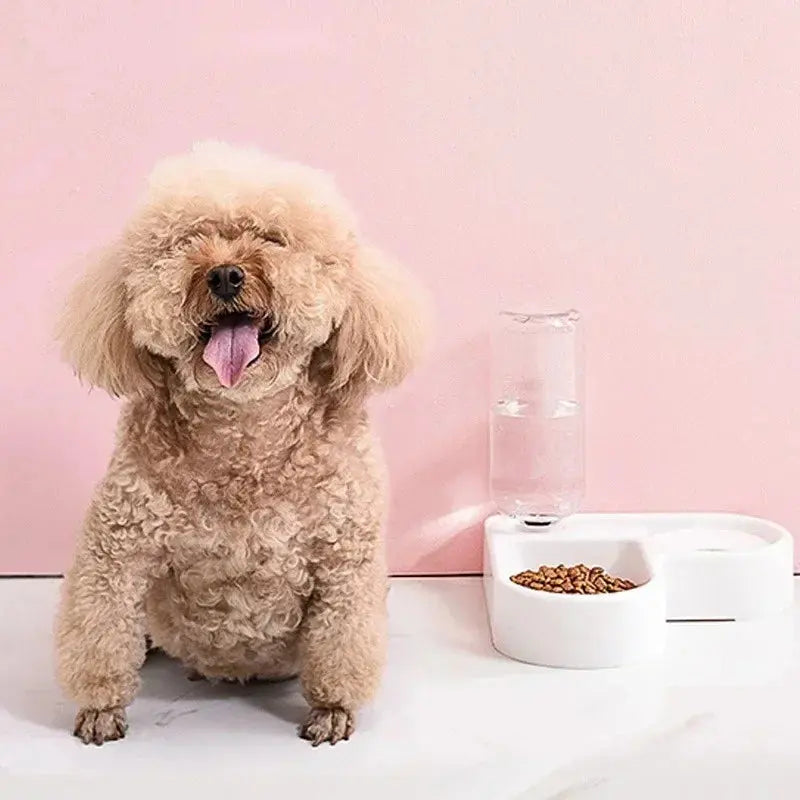 Automatic Corner Pet Feeder – Dog & Cat Water and Food Bowl with Large Capacity HypeNvibes